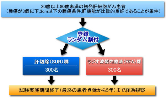 療法 焼灼 ラジオ 波